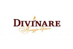 DIVINARE