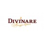 DIVINARE