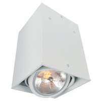 Потолочный светильник A5936PL-1WH Arte Lamp