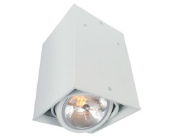 Потолочный светильник A5936PL-1WH Arte Lamp