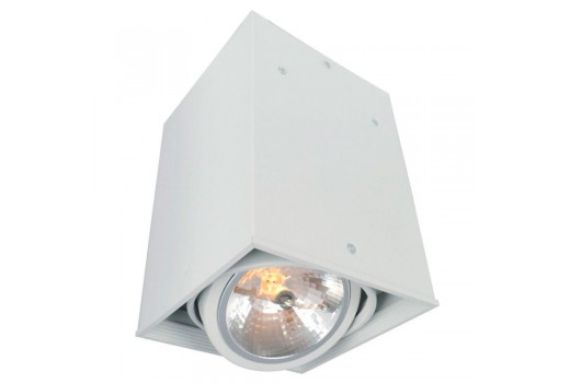 Потолочный светильник A5936PL-1WH Arte Lamp