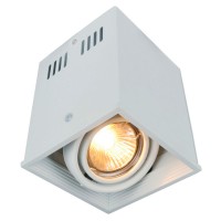 Потолочный светильник A5942PL-1WH Arte Lamp