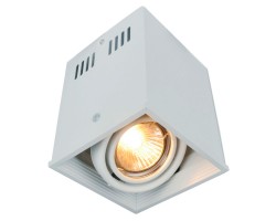 Потолочный светильник A5942PL-1WH Arte Lamp