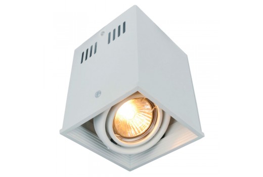 Потолочный светильник A5942PL-1WH Arte Lamp