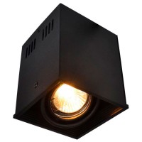 Потолочный светильник A5942PL-1BK Arte Lamp