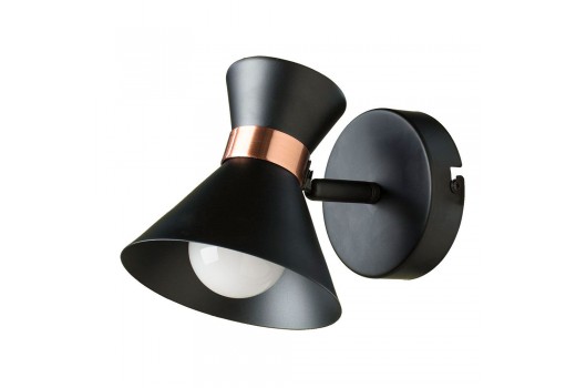 Спот A1406AP-1BK Arte Lamp