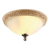 Потолочный светильник A9070PL-2AB Arte Lamp