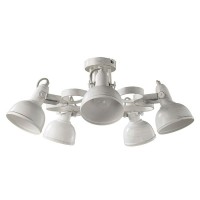 Потолочная люстра A5216PL-5WG Arte Lamp