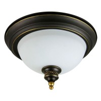 Потолочный светильник A9518PL-2BA Arte Lamp