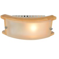 Потолочный светильник A6460AP-1BR Arte Lamp