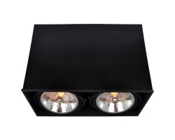 Потолочный светильник A5936PL-2BK Arte Lamp