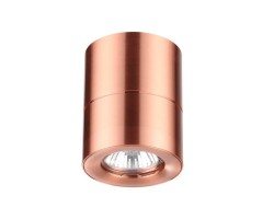 Потолочный светильник Odeon Light 3586/1C